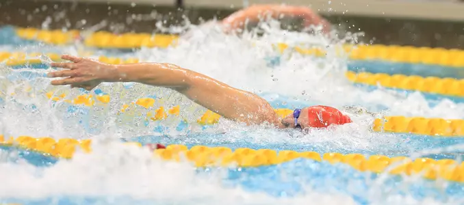 Victor Goicoechea - 2018 Big Ten Championships