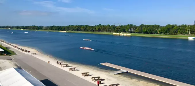 NCAA Rowing