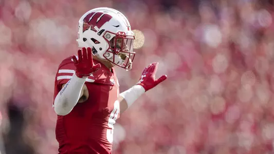 Wisconsin Badgers's Scott Nelson against BYU. University of Wisconsin-Madison football team faces BYU at Camp Randall Field, September 15, 2018 in Madison Wisconsin.Photo by Tom Lynn/Wisconsin Athletic Communications