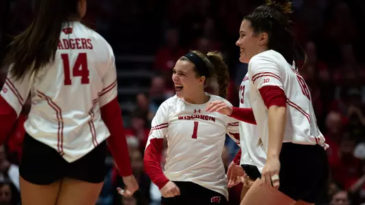 Badgers celebrate a point