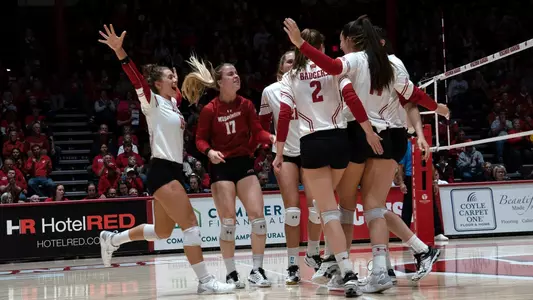 Badgers celebrate a point