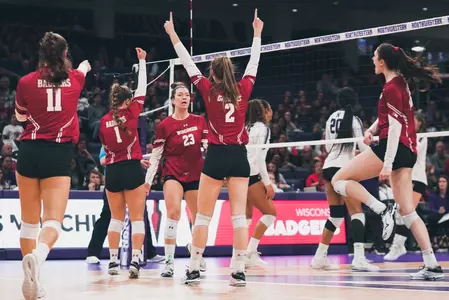 Badgers celebrate a point