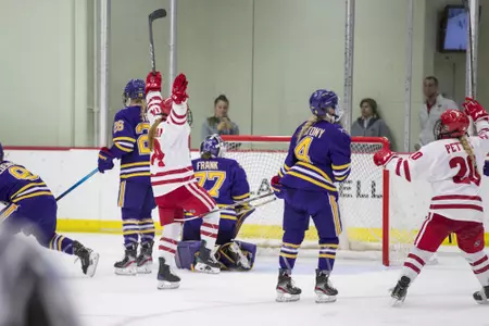 Mauermann_Alexis_MSU_111719