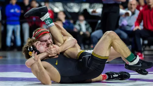 Gross cradle DeSanto