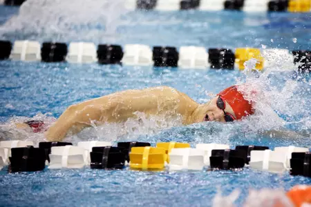 Griffin Back - Freestyle