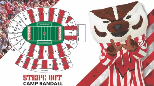 AD - Stripe Out Camp Randall - Custom HTML