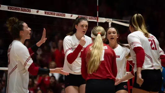 Badgers celebrate after a point