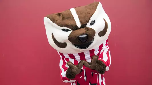 Wisconsin Badgers Bucky Badger during an NCAA College Big Ten Conference football game against the Indiana Hoosiers Saturday, November 4, 2017, in Bloomington, Indiana. The Badgers won 45-17. (Photo by David Stluka)