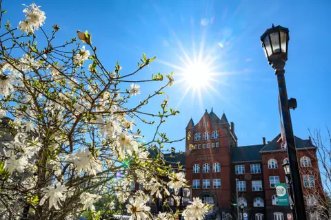 Science Hall is pictured with blooming spring flowers in the late afternoon sun at the University of Wisconsin-Madison on April 24, 2019. (Photo by Bryce Richter /UW-Madison)