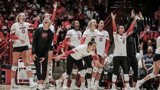 The Badger bench celebrates a point.