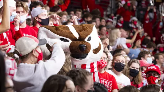 Bucky Badger