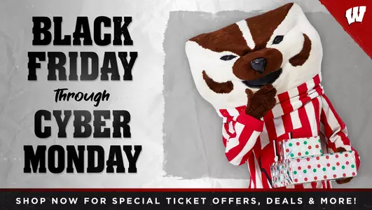 Black Friday and Cyber Monday sales