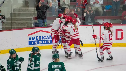 Badgers celebrate a goal against Bemidji State