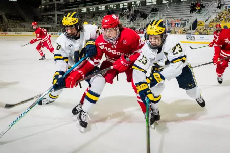 Lindmark at Michigan