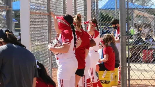 Badgers in the dugout