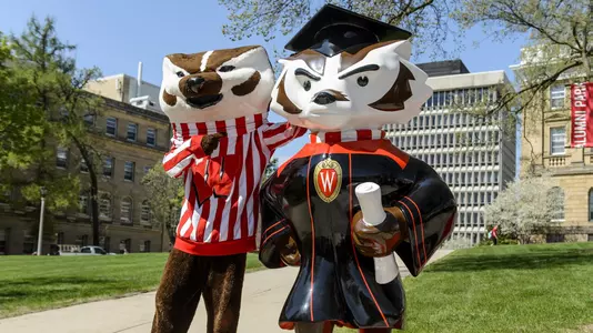 UW mascot Bucky Badger stands next to the "Graduation Bucky" statue during a Bucky on Parade unveiling ceremony on Bascom Hill at the University of Wisconsin-Madison on May 7, 2018. Bucky on Parade is a public art project that will bring 85 life-size Bucky Badger statues to the UW campus and Madison area from May 7 through Sept 29, 2018.  Each statue is created by a local or regional artist. (Photo by Bryce Richter / UW-Madison)