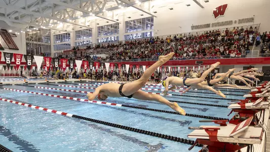 Wisconsin swimming Michigan Minnesota