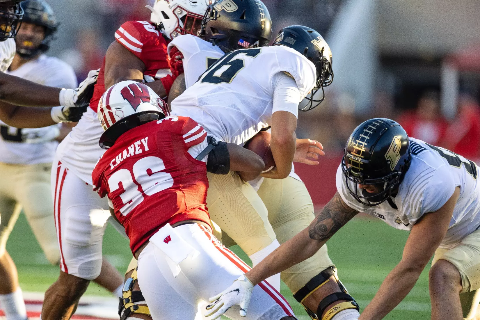 Wisconsin Badgers inside line backer Jake Chaney (36) sacks Purdue quarterback Aidan O'Connell (16) during an NCAA college football game against the Purdue Boilermakers, Saturday, Oct. 22, 2022 in Madison, Wis.
