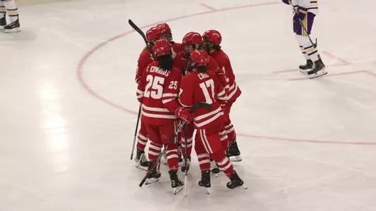 Wisconsin women's hockey celebrates a goal against the Minnesota State Maverick's in a WCHA conference matchup on Saturday, Dec. 10, 2022 in Mankato, Minnesota.