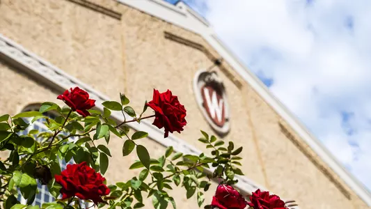 UW Field House with UW Crest and red roses - The UW Field House is pictured at the University of Wisconsin-Madison on Sept. 24, 2021. (Photo by Brian Huynh /UW-Madison)