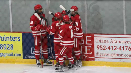 Wisconsin women's hockey celebrates a goal against St. Thomas on Jan. 28, 2023 in Mendota Heights, Minn.