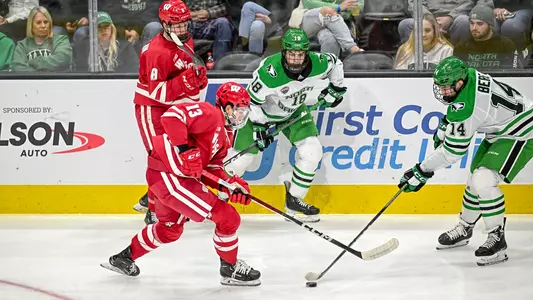 Sophomore forward Christian Fitzgerald possesses the puck during a game versus North Dakota.