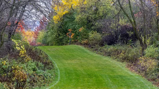 Thomas Zimmer Championship Course Hill