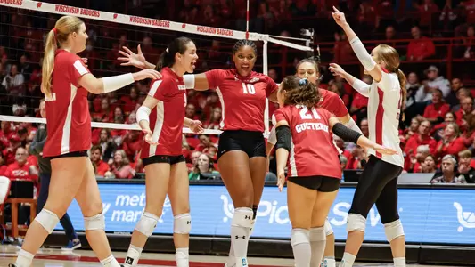 Badgers celebrate after winning a point