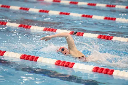 Elle Braun vs. Michigan