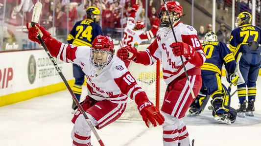 Graduate student Owen Lindmark celebrates scoring a goal against Michigan at the Kohl Center on Friday, Nov. 3.