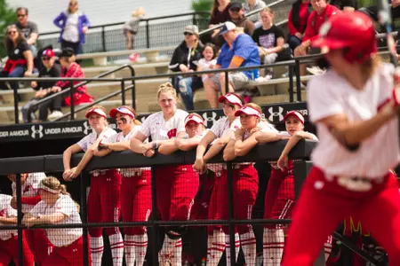 Badger players watching at-bat from the dugout
