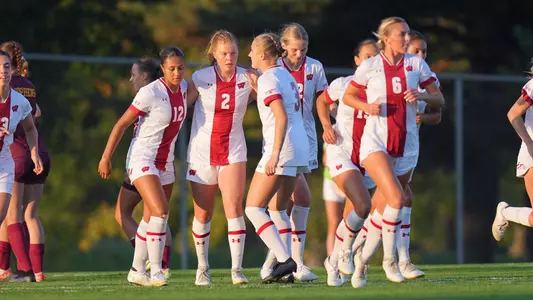The Badgers celebrate after Emma Jaskaniec scores the opener against Minnesota