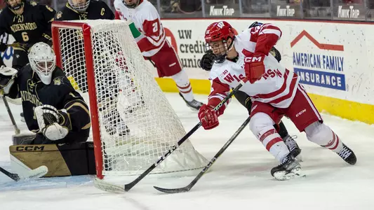 Mathieu De St. Phalle skates against Lindenwood at the Kohl Center