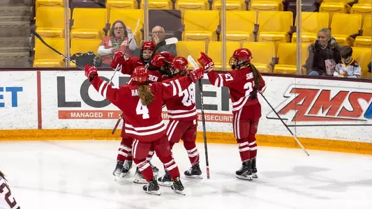 Wisconsin women's hockey celebrates a goal against Minnesota Duluth on Jan. 26, 2024 at AMSOIL Arena