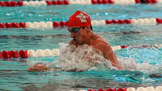 Badger swims breaststroke