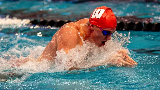 Swimming breakstroke