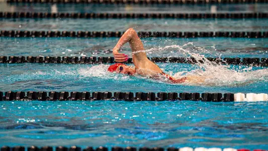 Swimming in freestyle