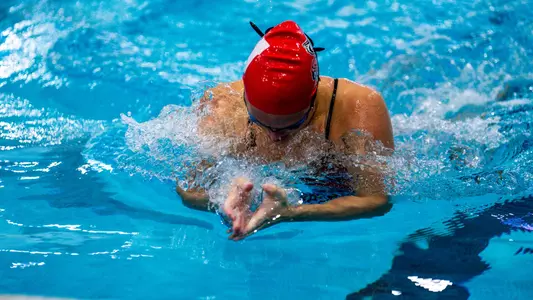 Swimmer in the breaststroke