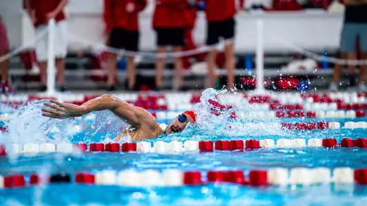 Badger swims the freestyle