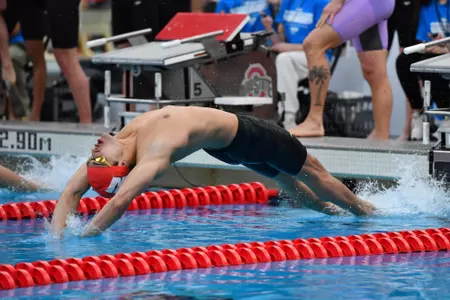2024 Big Ten Men's Swimming & Diving Championships