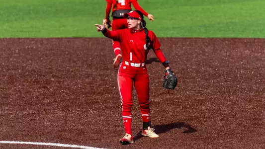 Tessa Magnanimo pitches against Iowa
