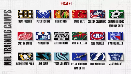 Badgers at 2024 NHL training camps