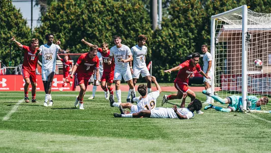 Badgers celebrate a goal
