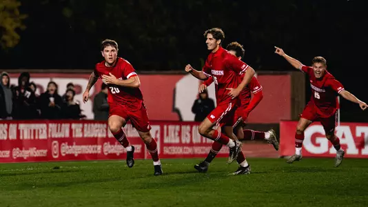 Badgers celebrate a goal