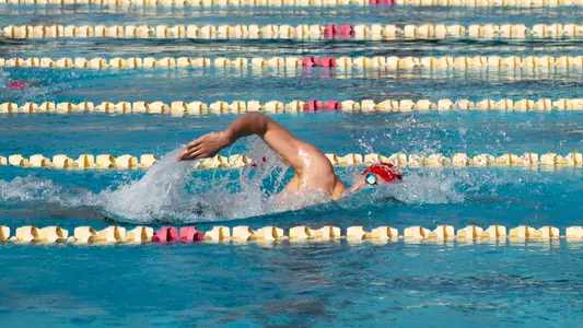 Swim & Dive at UC San Diego