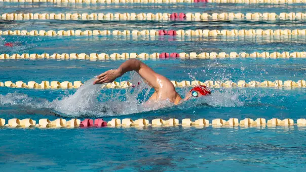 Swim & Dive at UC San Diego