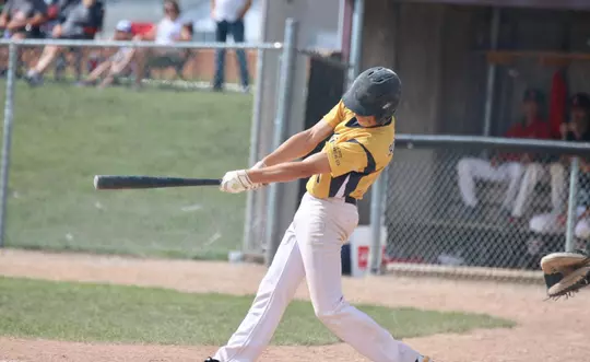 Ryan Botterill hitting a baseball (2)