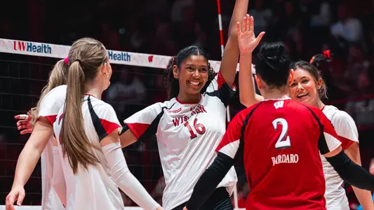 Badgers celebrate after point against Michigan