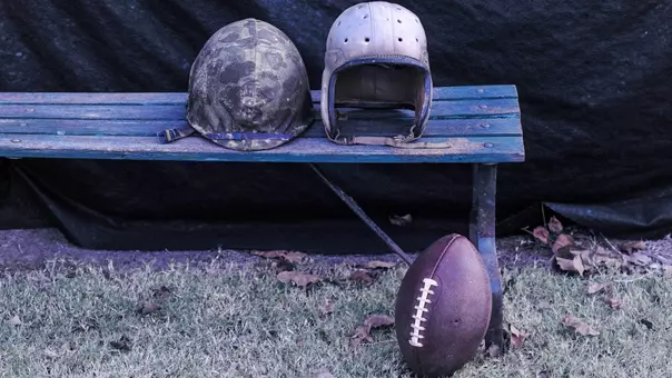 Mosquito Bowl
