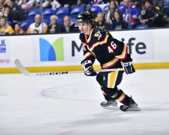 Mathieu De St. Phalle skating for WBS Penguins